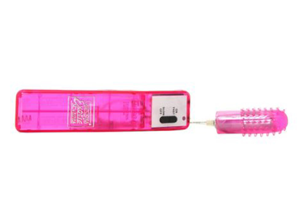 Bullet Vibrator On The Go Panty Vibe Discreet Clitoral Women Sex Toys W/Remote